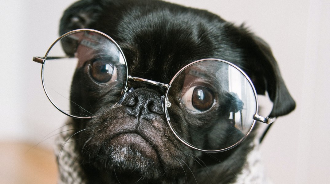 Κουίζ: Μπορείς να βρεις τη σημασία αυτών των παλιών λέξεων;