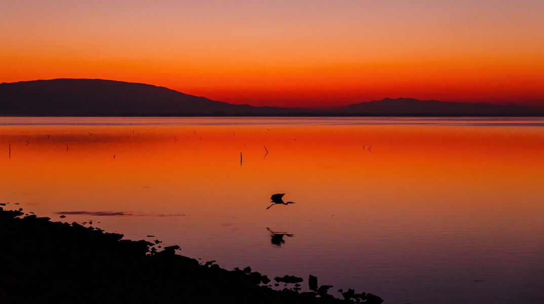 Ο διεθνής φωτογράφος, Γιάννης Λάριος, μιλάει στην Athens Voice για τη σχέση του ανθρώπου με την τεχνολογία και τη φύση