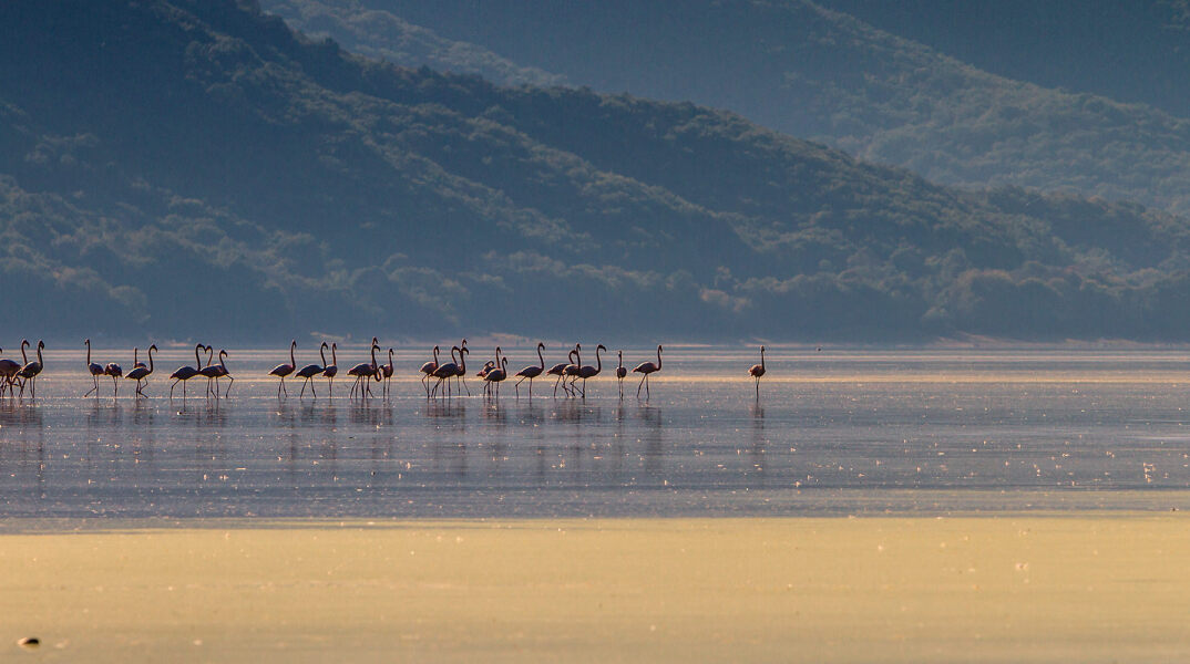 Ο διεθνής φωτογράφος, Γιάννης Λάριος, μιλάει στην Athens Voice για τη σχέση του ανθρώπου με την τεχνολογία και τη φύση
