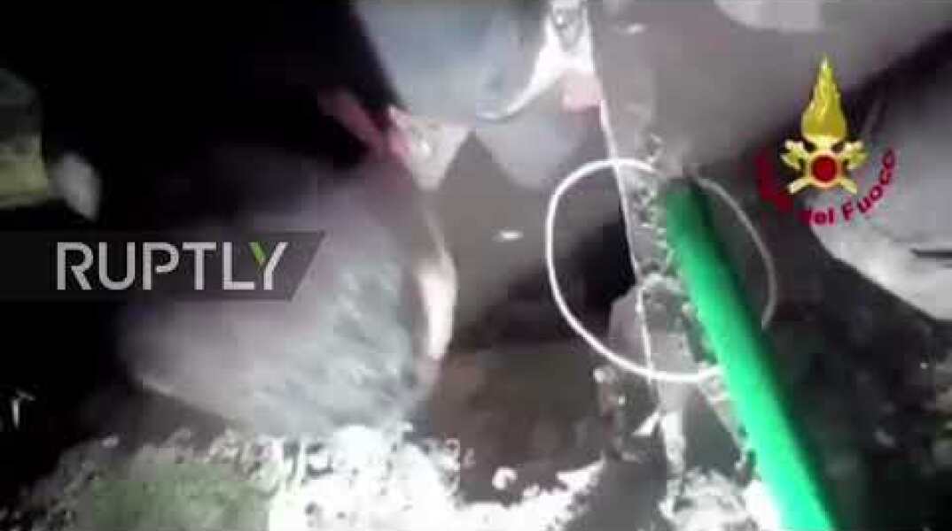 Heroic Italian firefighters rescue pup from perilous drainpipe