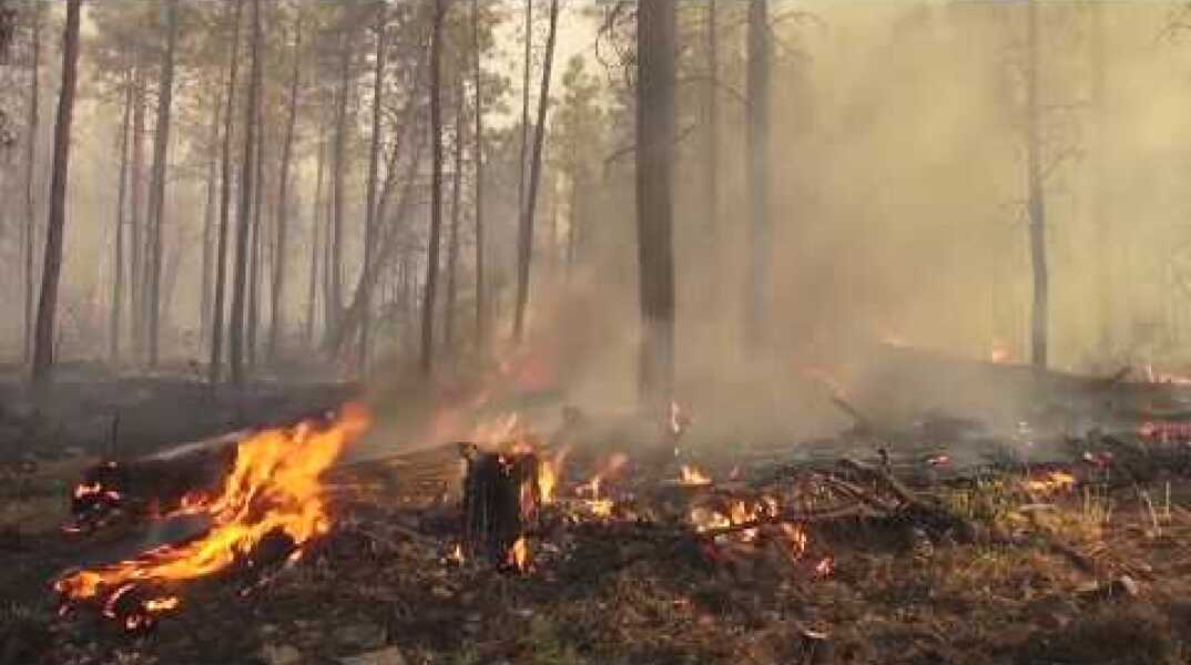 Αντιπυρική περίοδος 2019 - Το Σύστημα IRIS