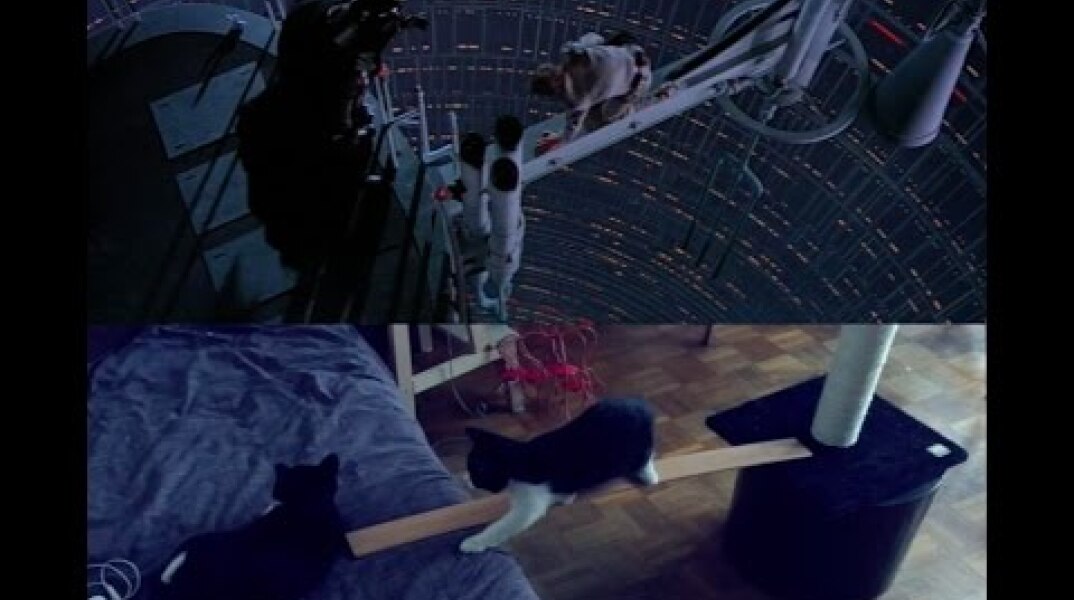 The Empire Scratches Back