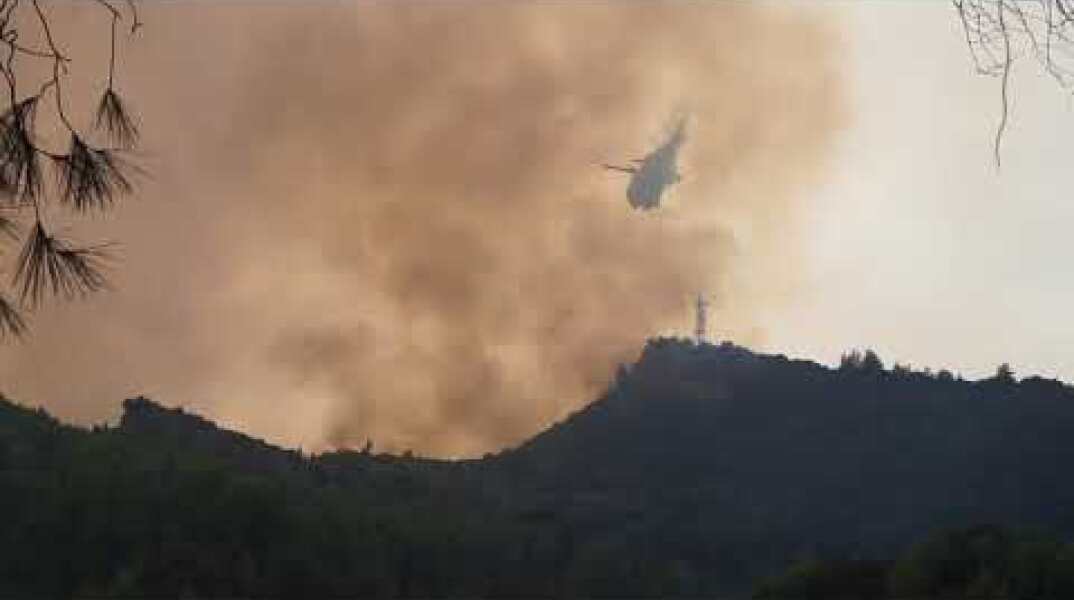 Φωτιά στην Δαφνιώτισσα Ηλείας