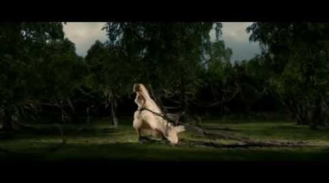 Lars Von Trier - Melancholia (Richard Wagner - Tristan und Isolde, Prelude)