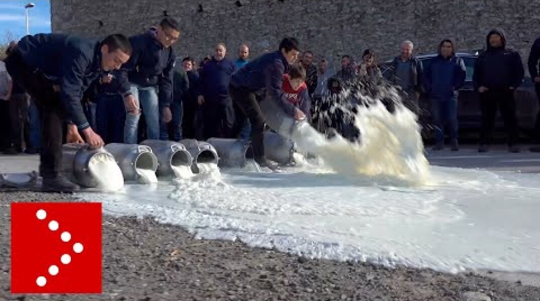 Rivolta del latte, a Thiesi davanti stabilimento Pinna: sversato del latte per terra
