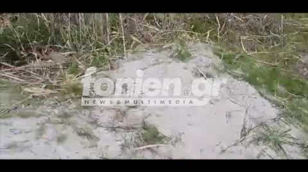 fonien.gr - Έγκλημα στον Αλμυρό - Το σημείο της δολοφονίας (22-2-2020)