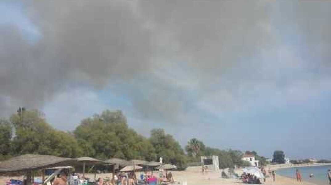 Δυο φωτιές στο Πλωμάρι