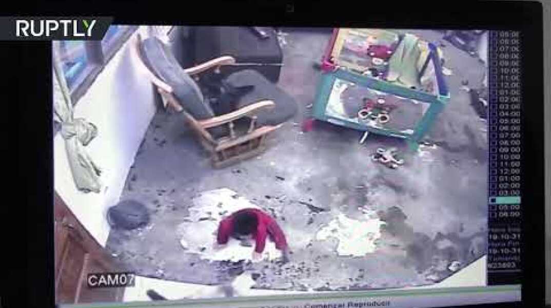 'Superhero' cat saves infant in Bogota