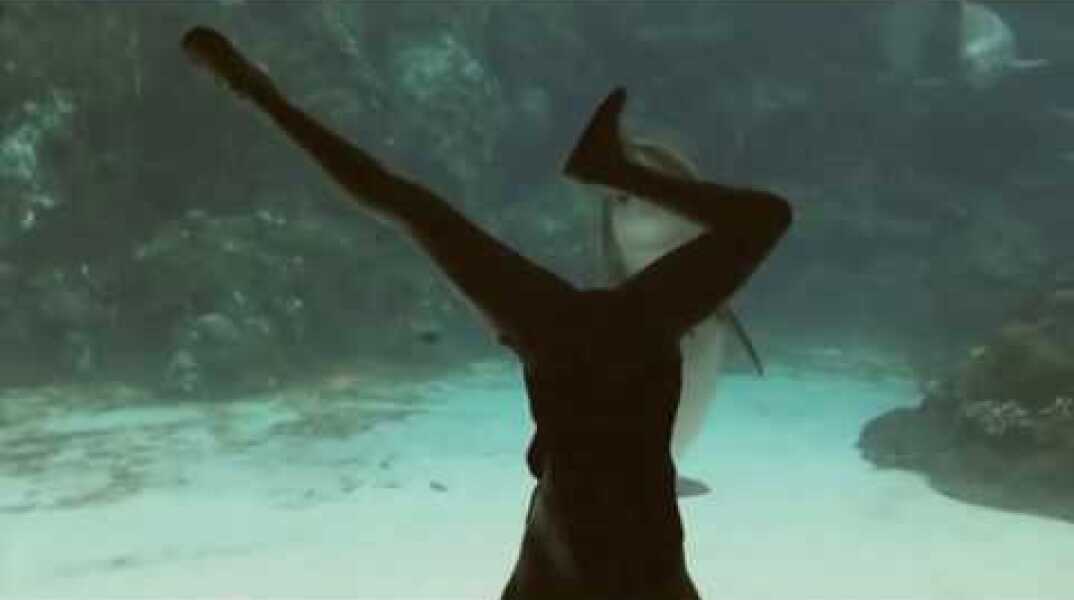 Girl Makes Dolphin Laugh (EXTENDED) ORIGINAL VIDEO