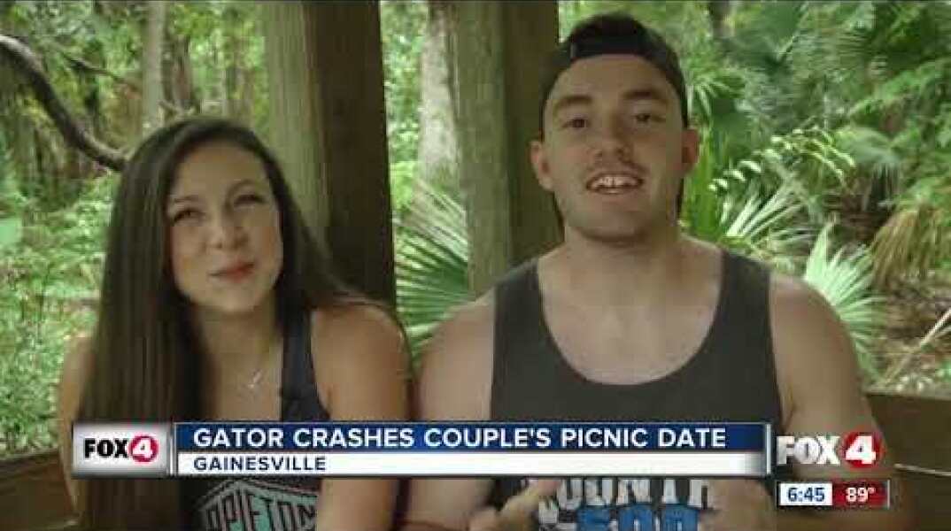 Guacamole-loving gator crashes couple's date by Florida lake