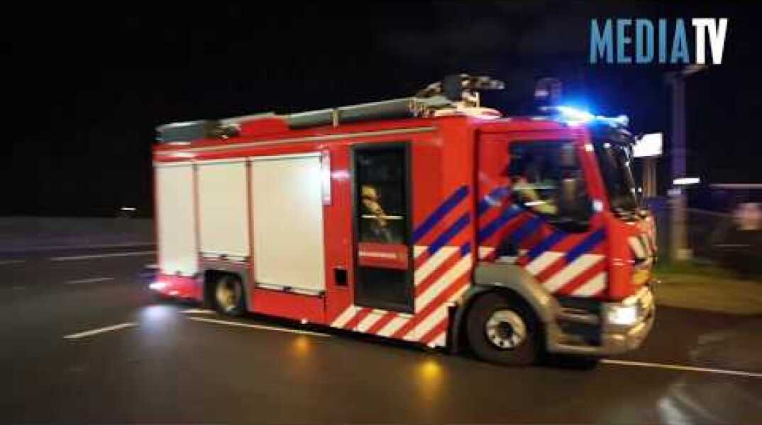 Verstekelingen op ferry van DFDS Seaways aangetroffen