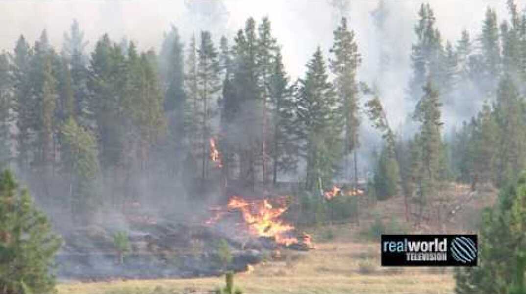 Forest and grass fire footage from British Columbia in 2015. Real World Television.