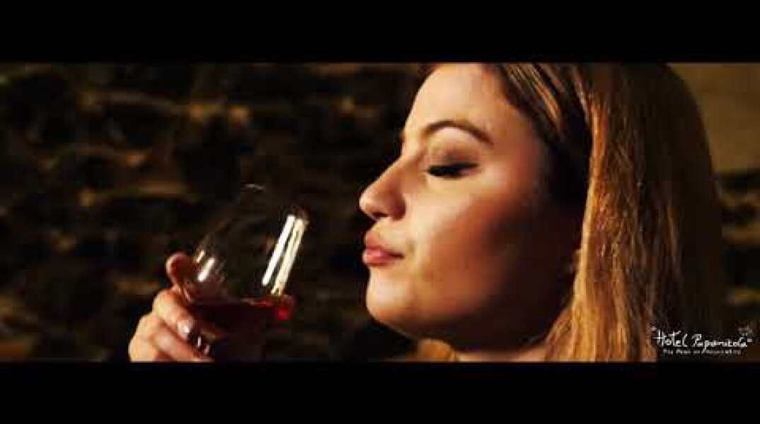 HOTEL PAPANIKOLA NEW COMMERCIAL