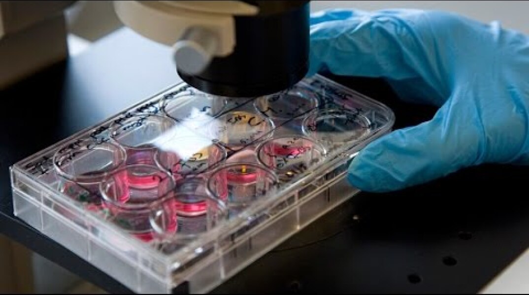 FDA approves new cancer-fighting drug