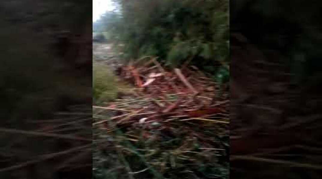 Zona salviano Livorno. Bomba d'acqua della notte fra il 9-10 settembre 2017