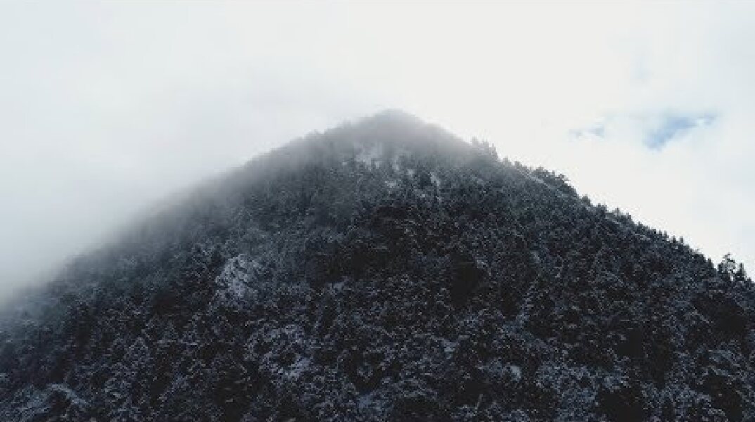 Vamvakou Revival: The Beginning