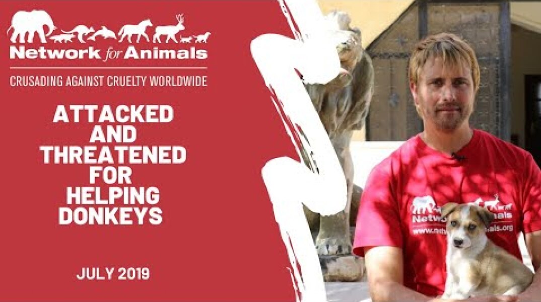 Attacked and threatened with DEATH trying to save donkeys