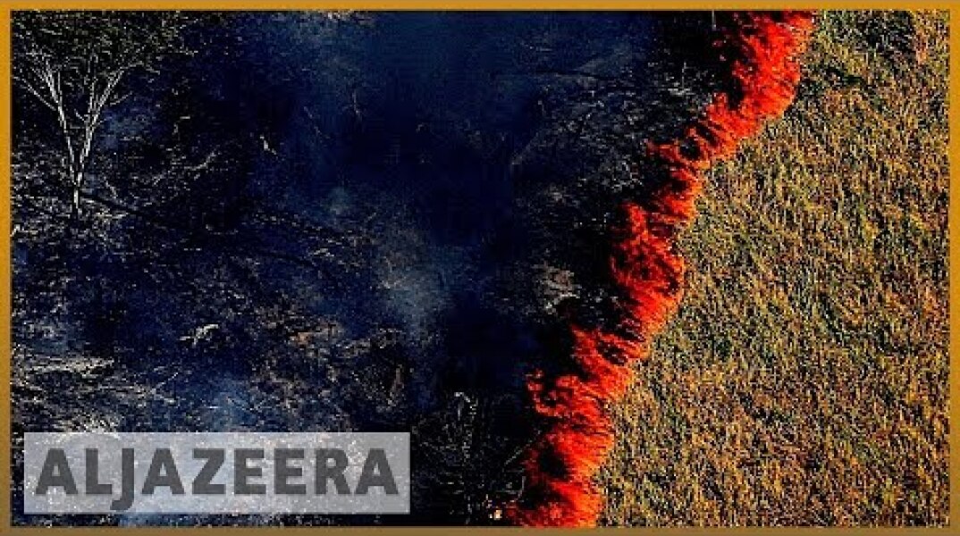 Amazon burning: Brazil reports record surge in forest fires