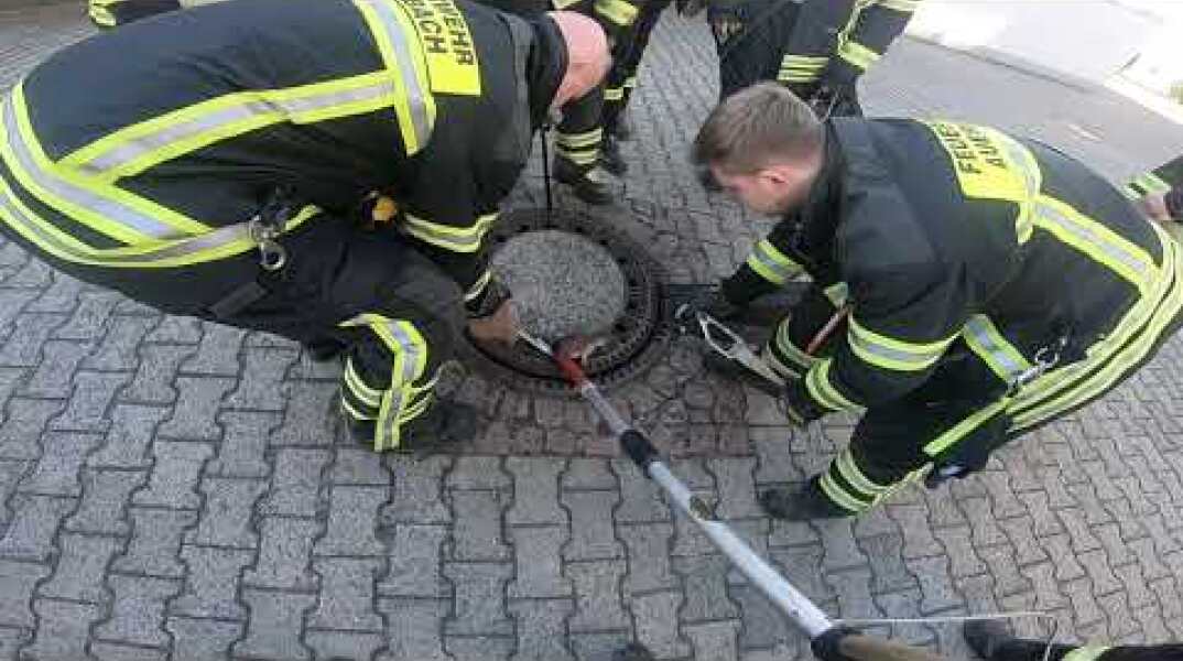 Ratte steckt im Gulli fest