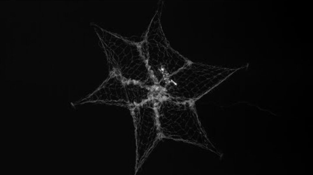 RemoveDEBRIS’s net captures space debris