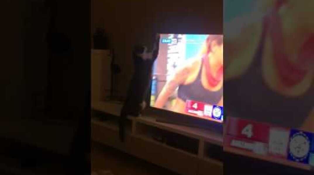 O Dexter και το Survivor