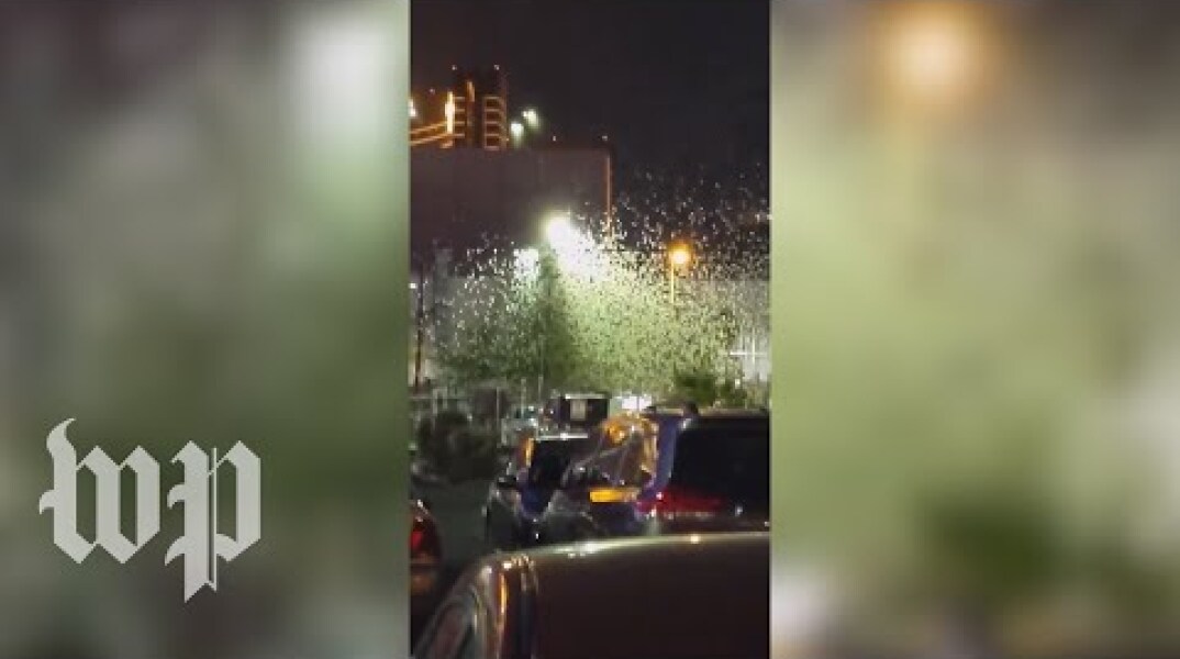Watch a massive grasshopper migration swarm parts of Las Vegas