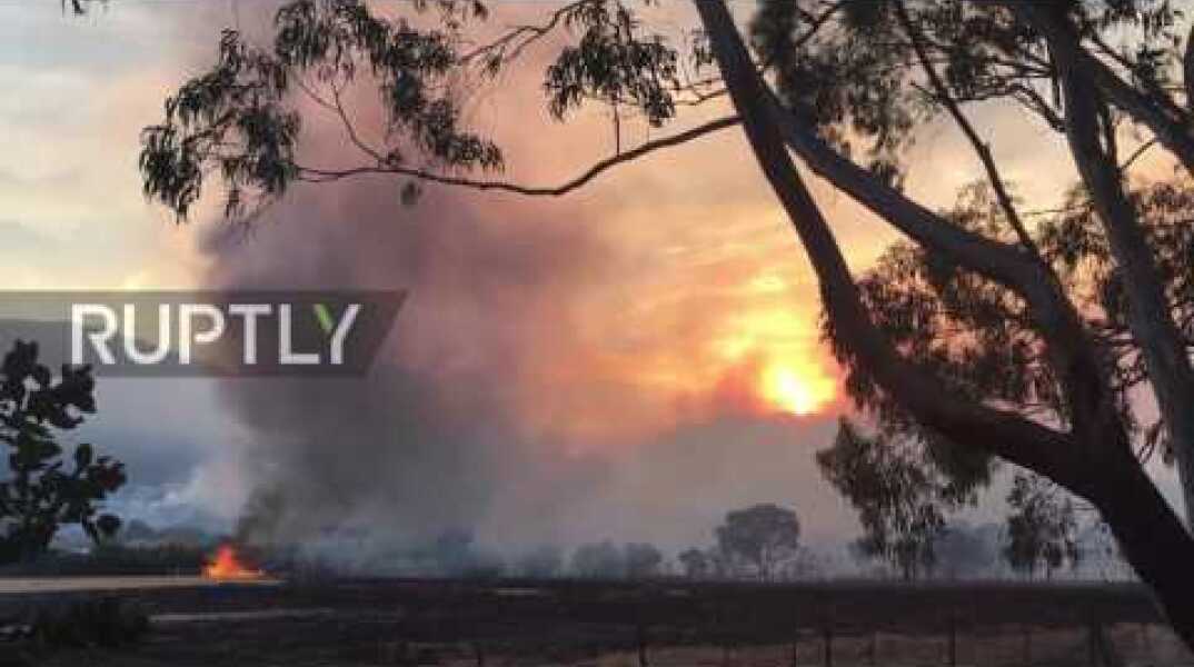 France: Planes and fire engines battle huge forest fires in Corsica