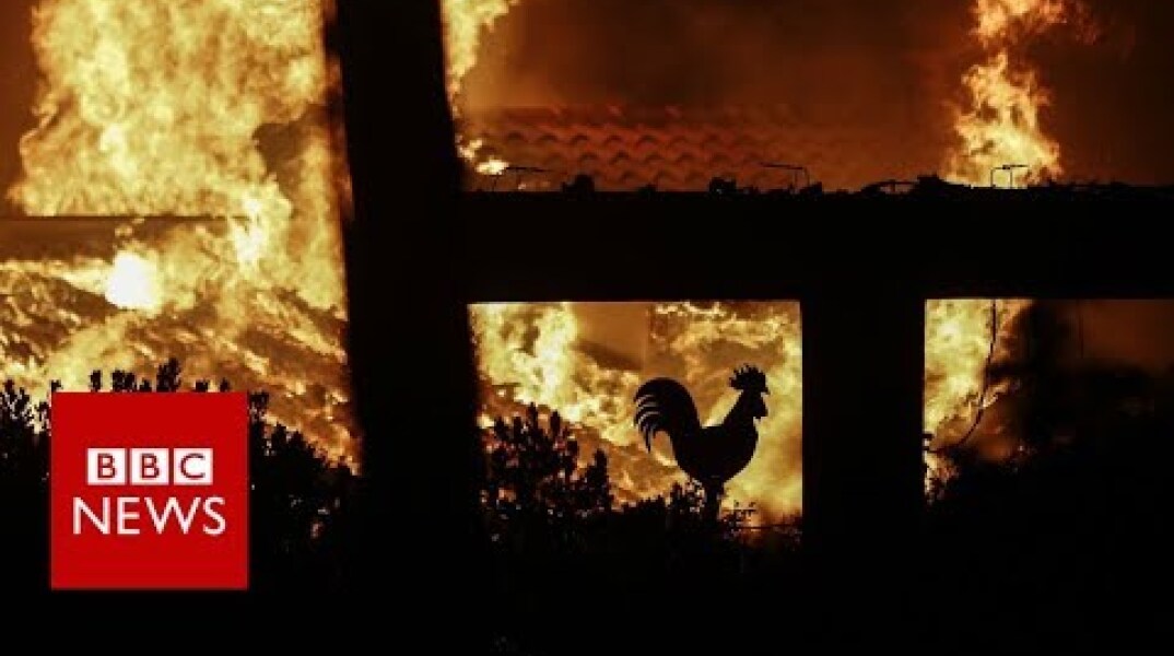 Greece wildfires: '60 dead' in holiday area - BBC News