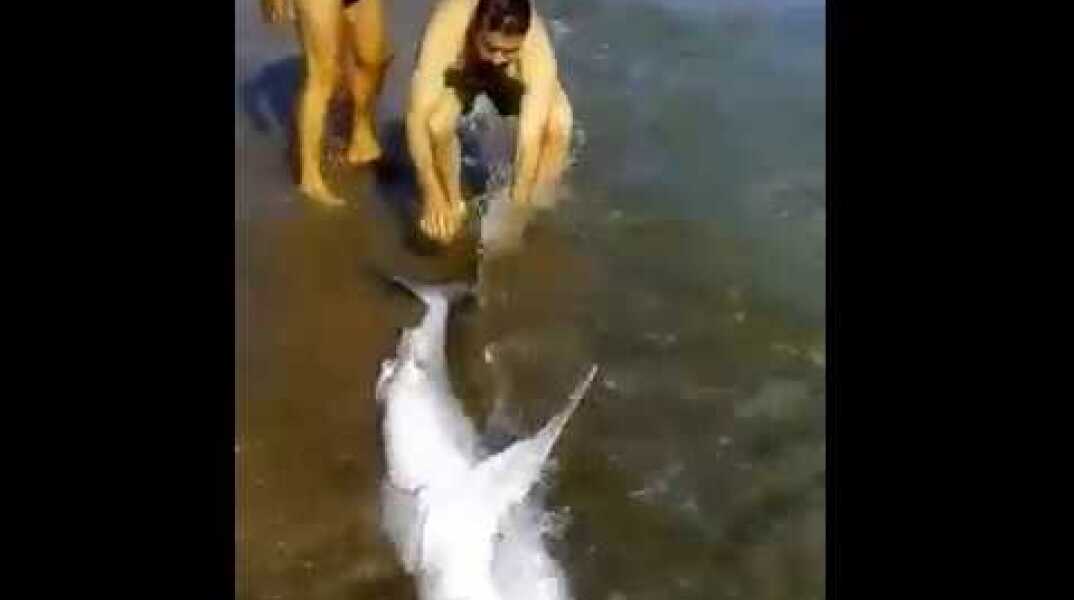 Καρχαρίας βγήκε σε παραλία των Χανίων