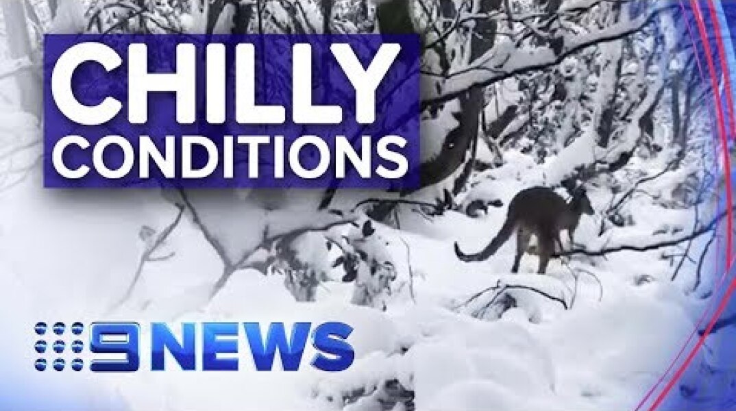 Victoria hit with a wintry blast | Nine News Australia