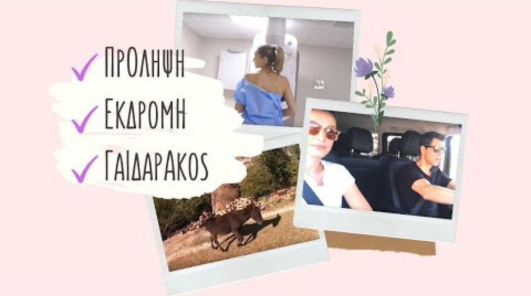 Πρόληψη ✔️ Εκδρομή ✔️ Γαϊδαράκος ✔️