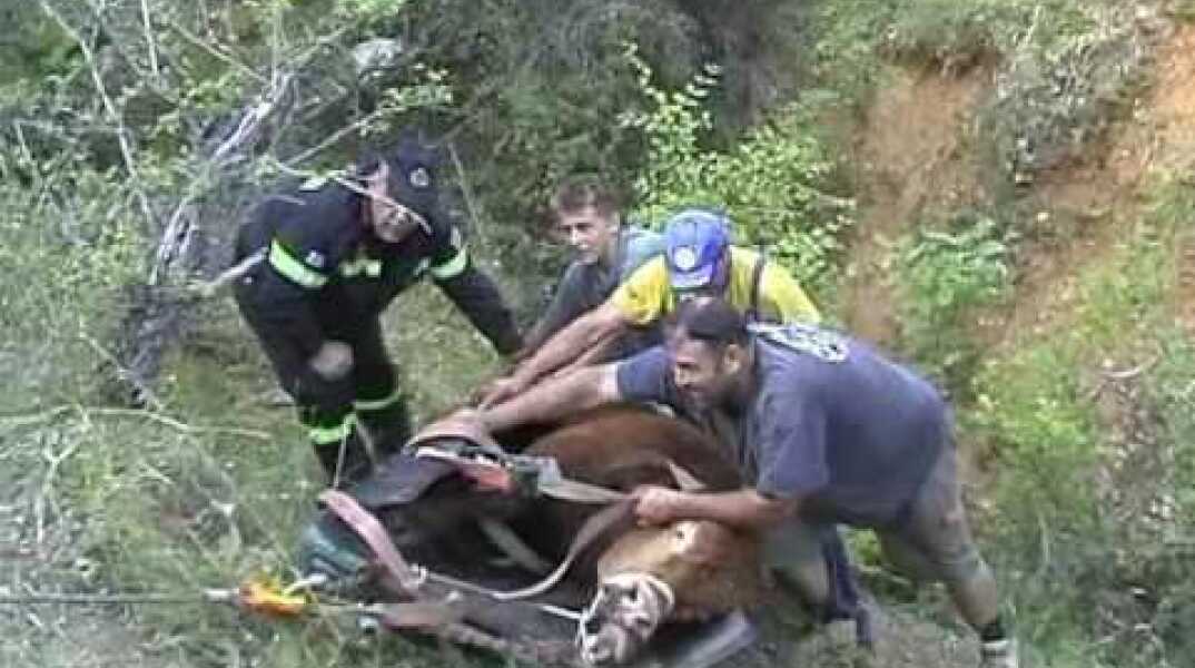 ΑΠΕΓΚΛΩΒΙΣΜΟΣ ΤΑΥΡΟΥ ΑΠΟ ΧΑΡΑΔΡΑ 80 ΜΕΤΡΩΝ ΑΠΟ ΤΗΝ ΠΥΡΟΣΒΕΣΤΙΚΗ ΥΠΗΡΕΣΙΑ ΠΤΟΛΕΜΑΪΔΑΣ