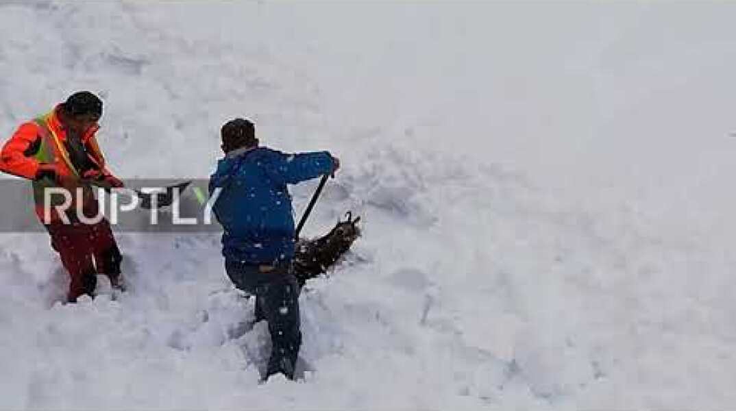 Watch as rail workers rescue goat buried under snow in Austria
