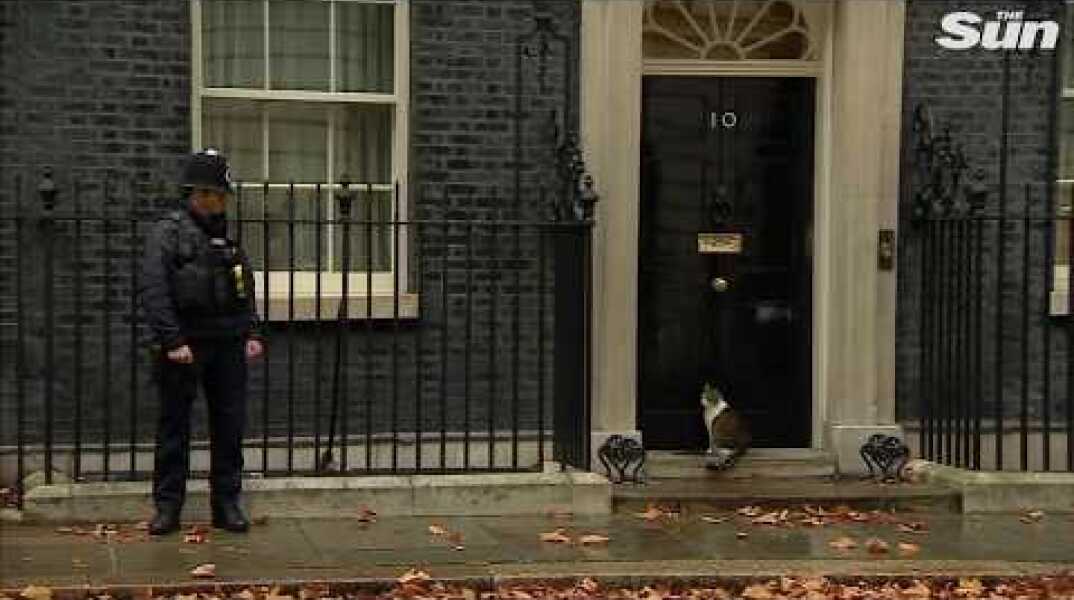Hilarious moment Downing Street policeman knocks on Number 10 to let Larry cat in