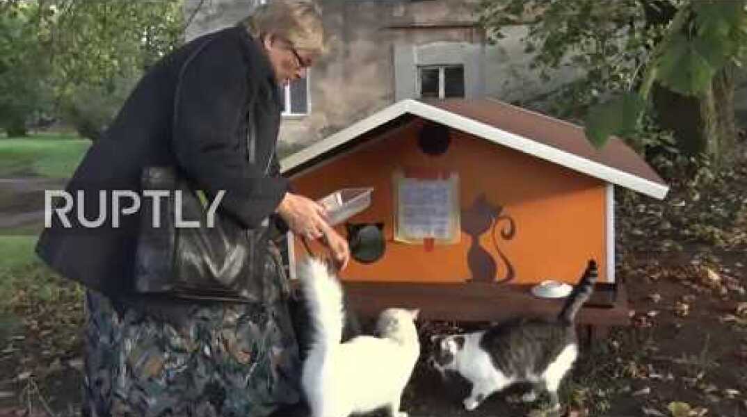 Feline good - Riga resident builds homes for orphaned cats ensuring his eternity in heaven