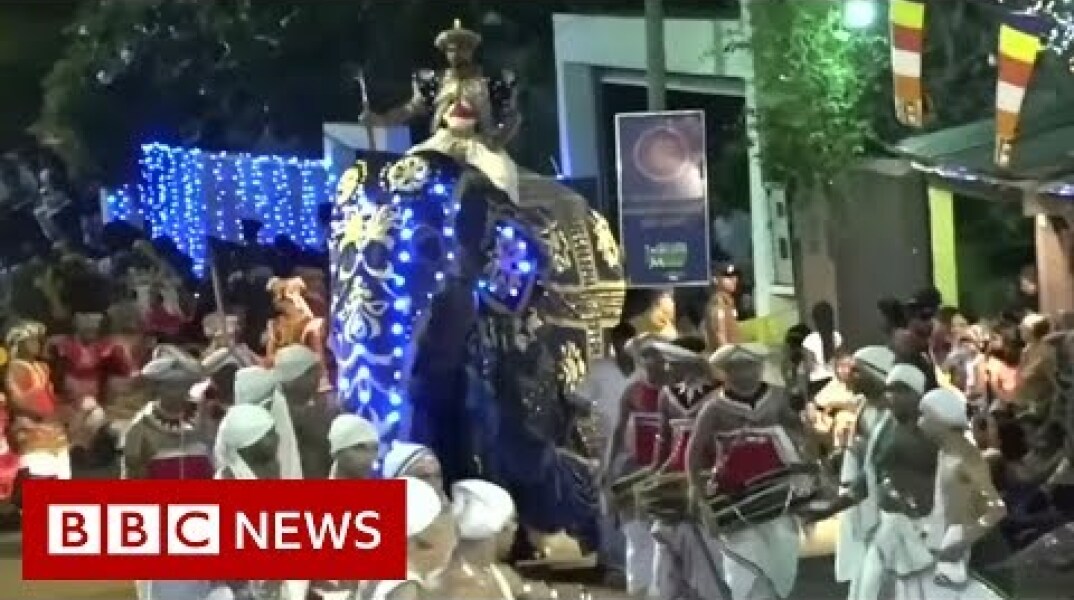 Sri Lanka elephant runs amok in parade - BBC News
