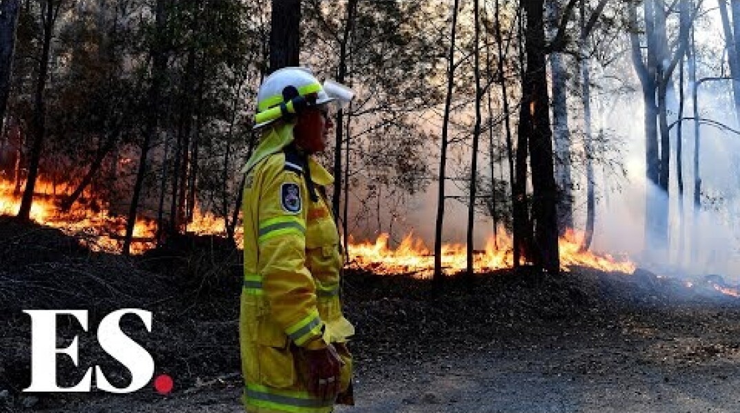 Bushfires in Australia: Queensland ravaged by record wildfire emergencies