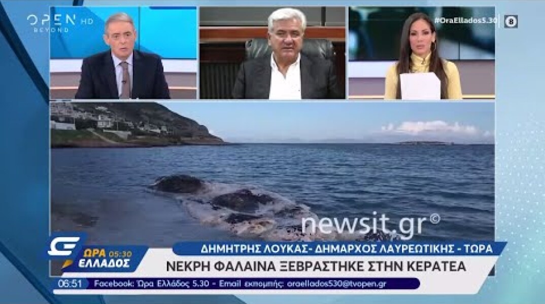 Νεκρή φάλαινα ξεβράστηκε στην Κερατέα - Ώρα Ελλάδος 05:30 28/11/2019 | OPEN TV