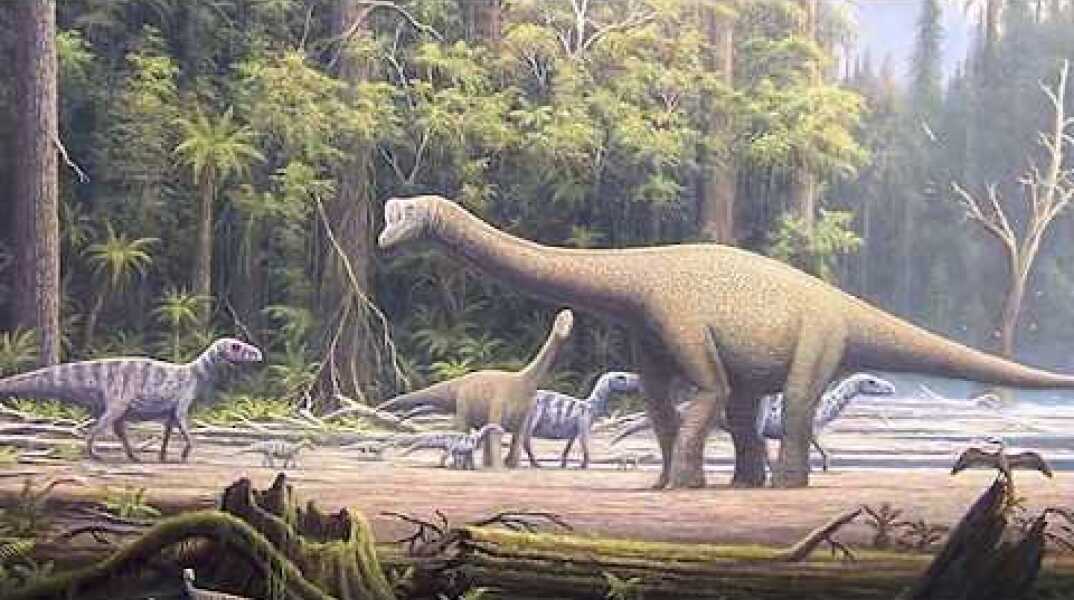 Mnyamawamtuka moyowamkia dinosaur discovery