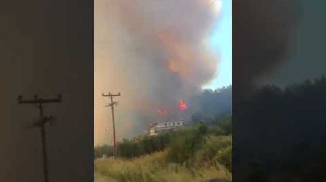 ThessNews.gr-Φωτιά στη Μόλα Καλύβα 1