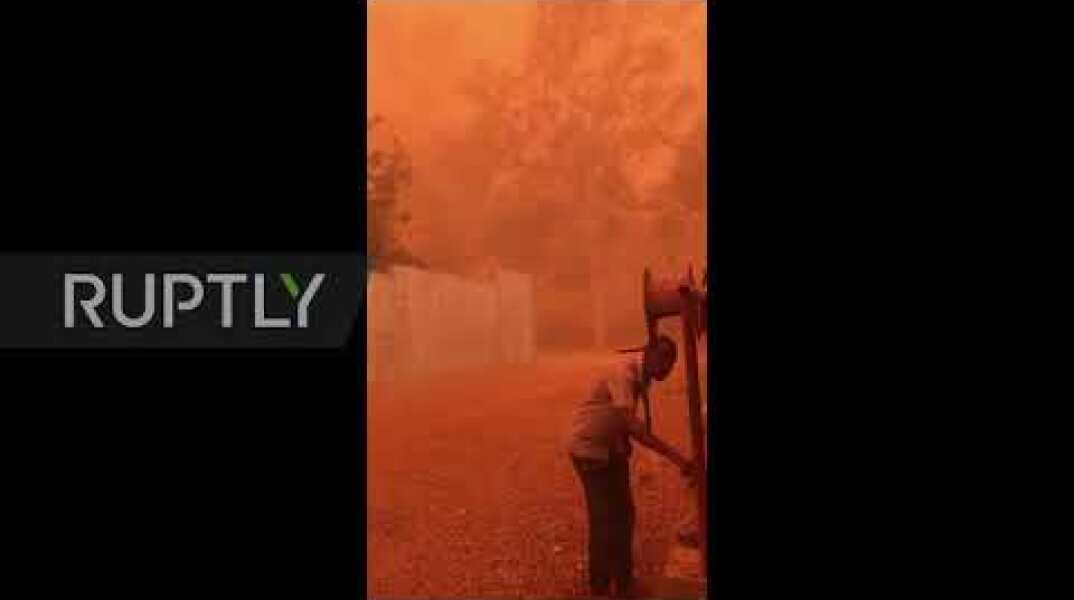 Niger: Sky turns blood red as 'calima' sandstorm descends on Niamey