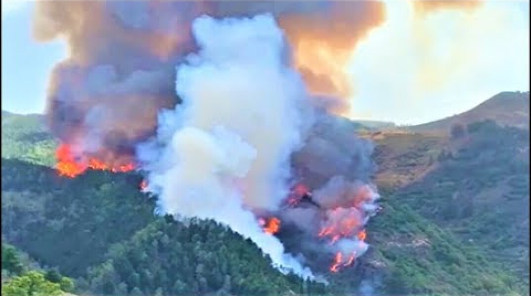 Incendio en Valleseco en dirección Cruz de Tejeda, Gran Canaria