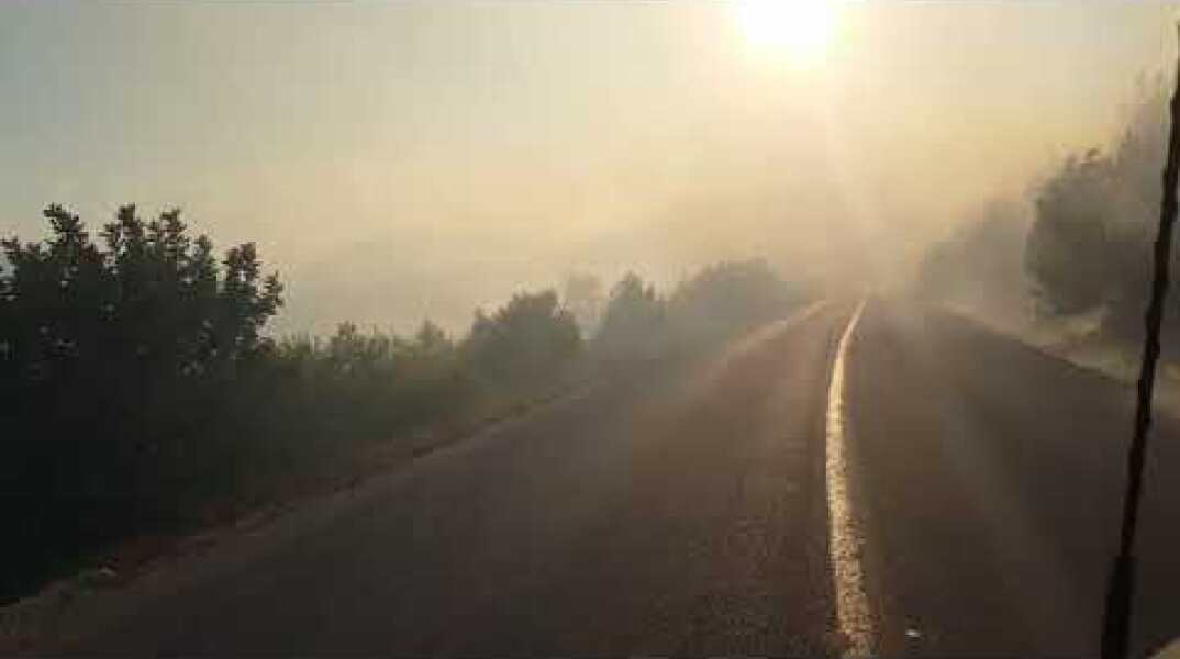 Φωτιά στον Αγαλα Ζακύνθου