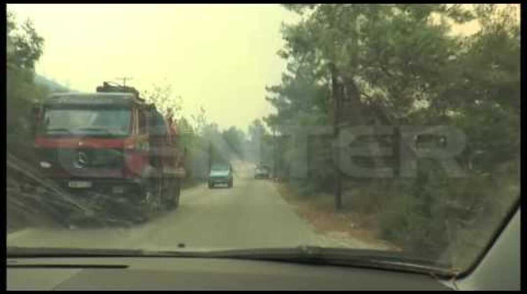 ΦΩΤΙΑ ΘΑΣΟΣ