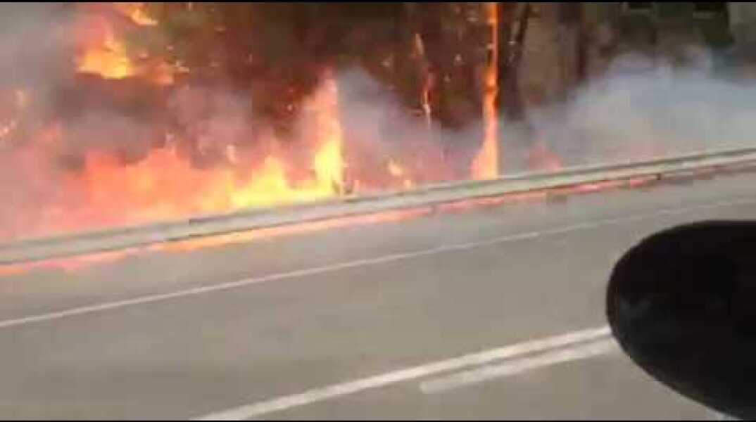 tempo24.gr - ΦΩΤΙΑ ΠΑΤΡΩΝ - ΠΥΡΓΟΥ