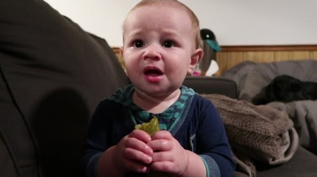 Baby tries pickle - his reaction has us in tears! - The McAllisters