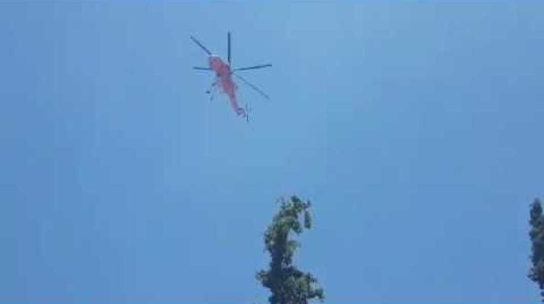 Φωτιά στην Καισαριανή