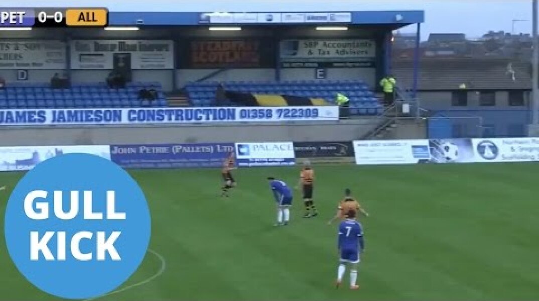 Keeper's Goal Kick Strikes Flying Seagull