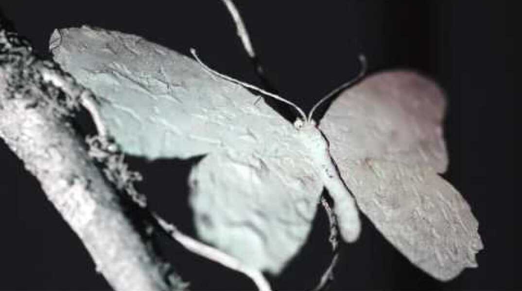 James Blake ft Bon Iver - I Need A Forest Fire (Official Video)