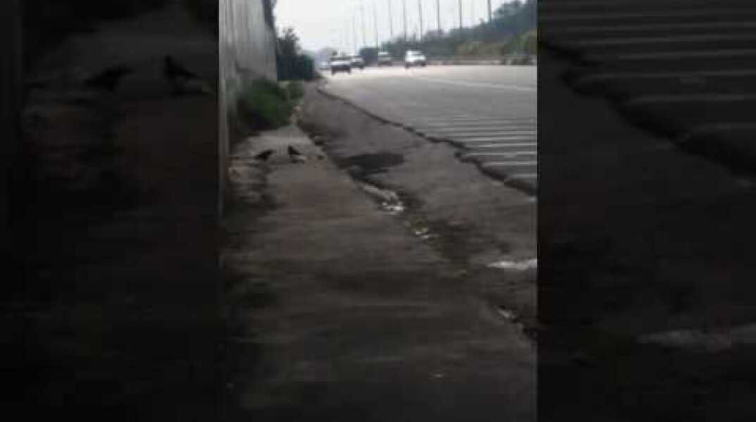 Με την όπισθεν στην Εθνική